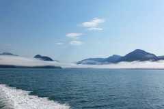 IMG-20220826-WA0031